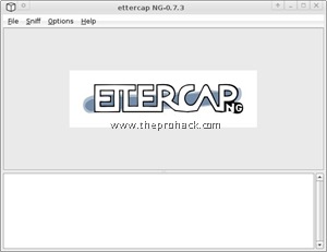 ettercap screen